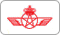 item.airline.name